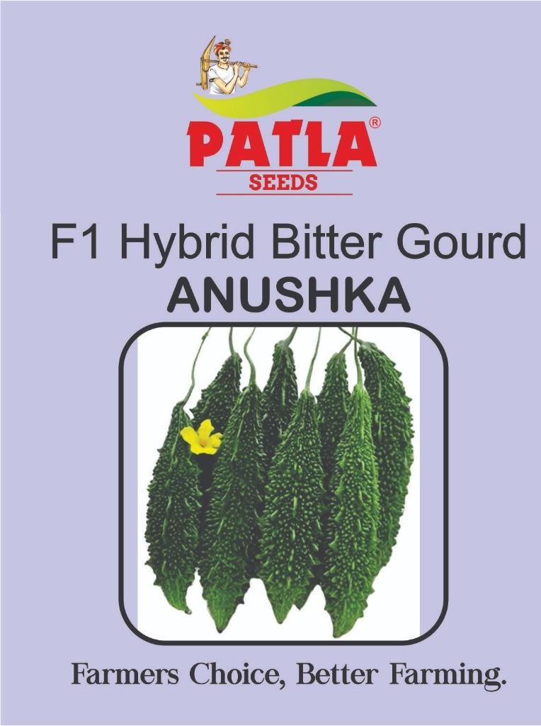 Bitter Gourd