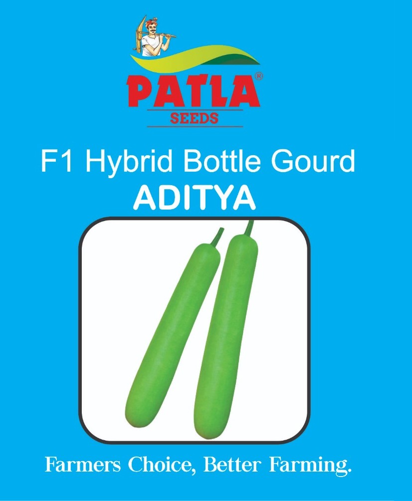 Bottle Gourd Aditya
