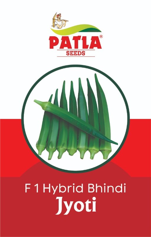 Okra